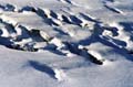 Wildspitze2005_9