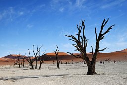 Deadvlei