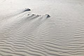 Spiaggia delle Dune